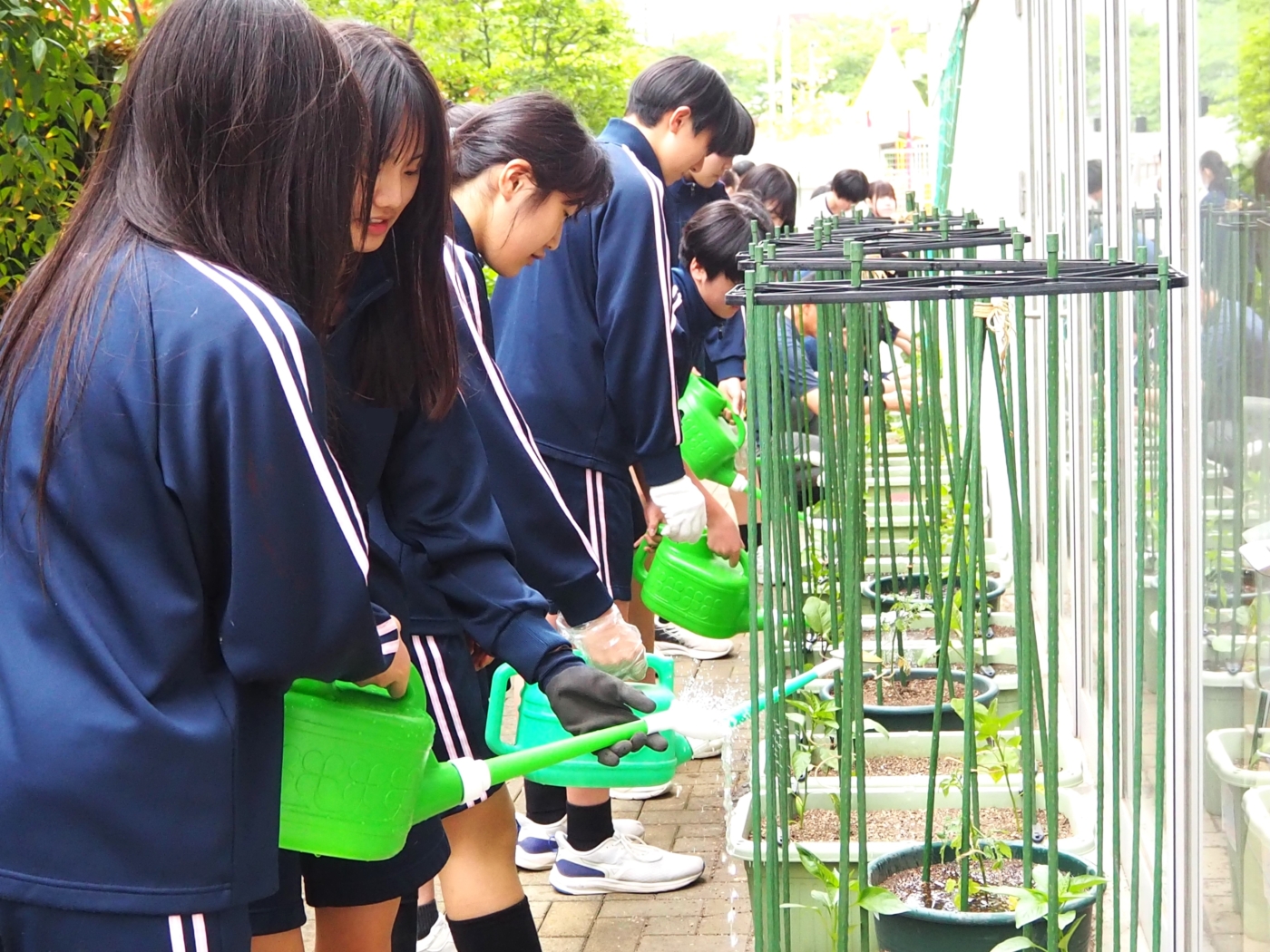 【中3・食育】KINRANファーム～夏野菜の植え付け～;