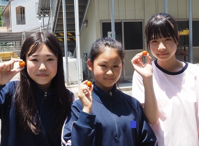 【中3・食育】KINRANファーム～追肥～;